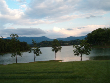 The view from my rocking chair on the back porch.