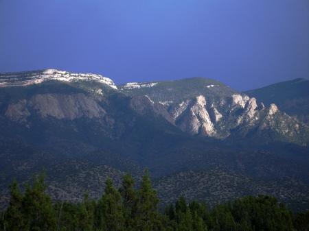 Backyard view