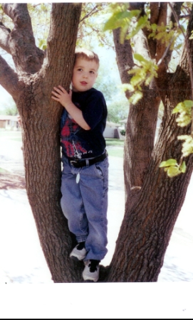Ian in a tree 2005