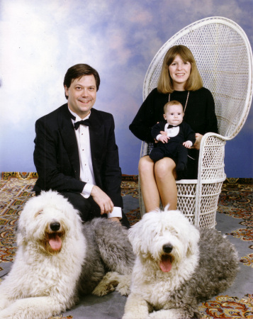 Doggy Family Portrait