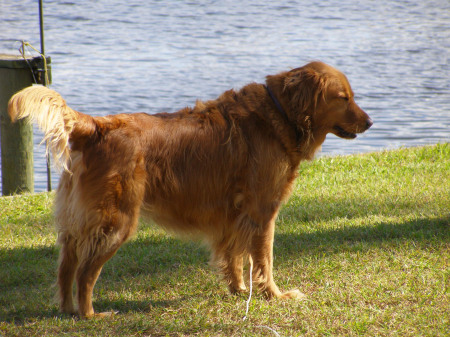 Chloe at home in FL