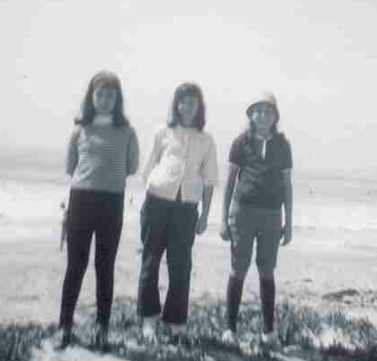 Carpenteria - Janet, Cindy, Jess