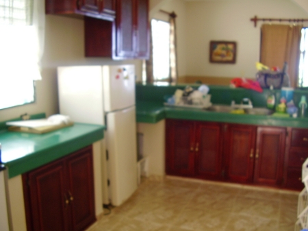 Kitchen and dinning room in the back view in DR