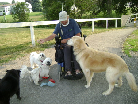 "Neighbourhood Freind's"