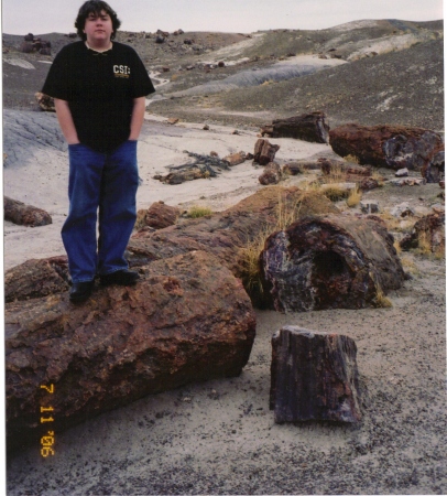 kevin at petrified forest