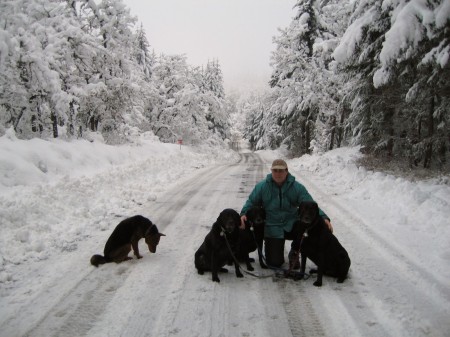 Me and the Dogs