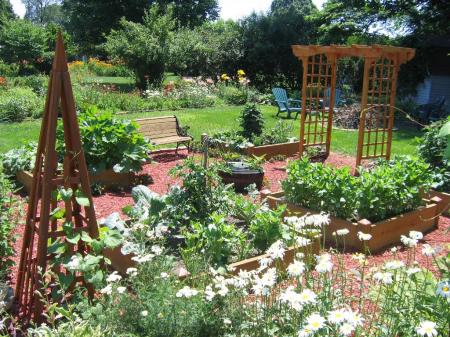 My Veggie Garden