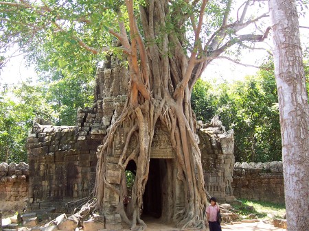 Ta Prohm - Cambodia