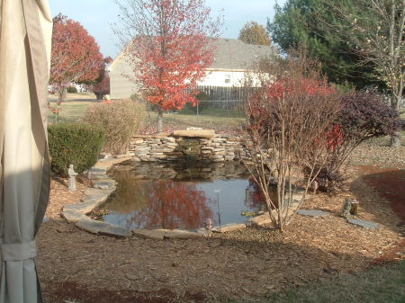 pond november 07 006