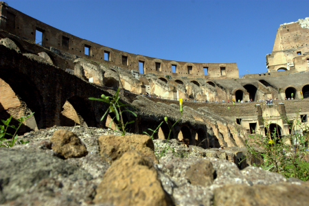 0248-rome scenics 2005 --