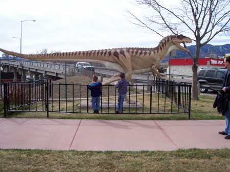 Canon City, CO Petting Zoo