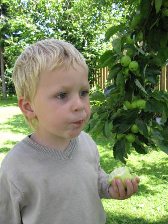 Kasper in the garden