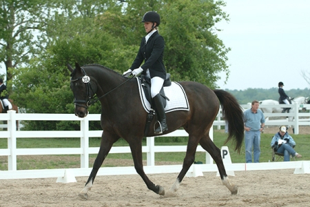 Dressage show 2006