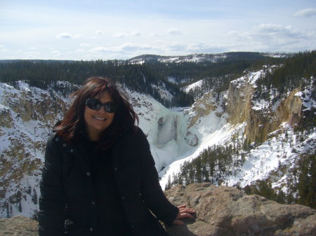 2010 Winter in Yellowstone