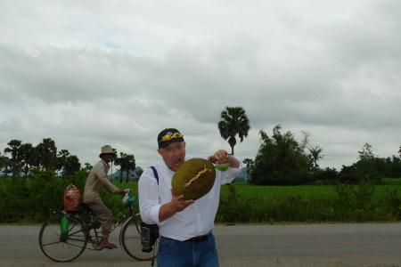 jack fruit