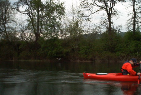 Kayaking the Toutle River