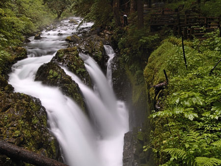 Sol Duc Falls