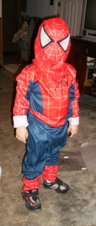 The Real Spiderman