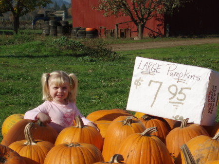 Pumpkins for sale 2007