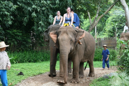 Robin rides an elephant