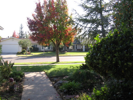 Fall season in Fresno 2007