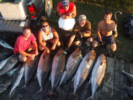 Monster Amberjack