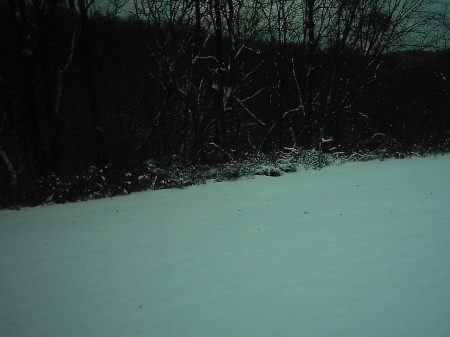 SNOW STORM 2008