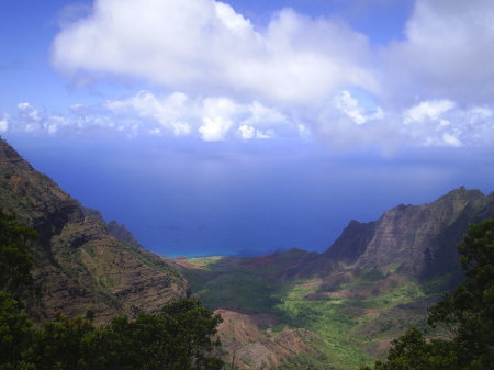 THE VALLEY AT PUU O KILA LOOKOUT