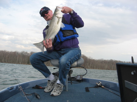 Fish of the Potomac