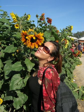 Kissed by a sunflower