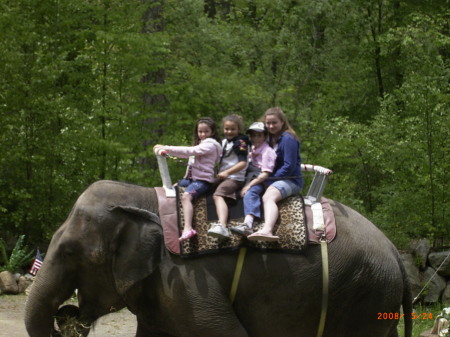 Riding the elephant!