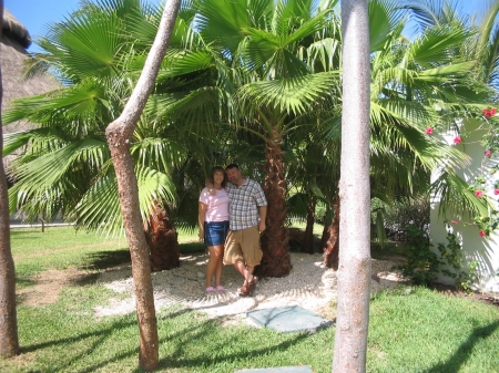 Palm Trees in Playa del Carmen