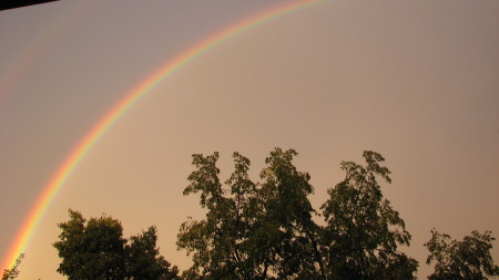 My Very Special Rainbow