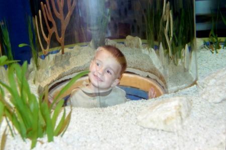 Gatlinburg Aquarium 2007