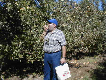 Apple Picking