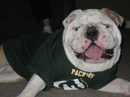 My dog Buster - Go Packers