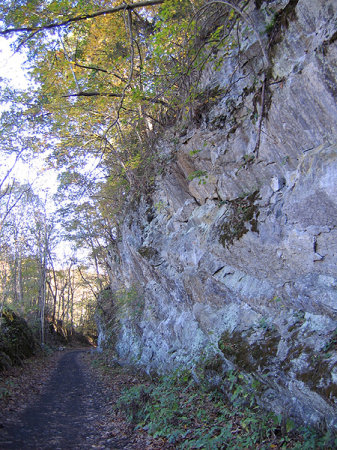 The Virginia Creeper Trail near Abingdon, VA