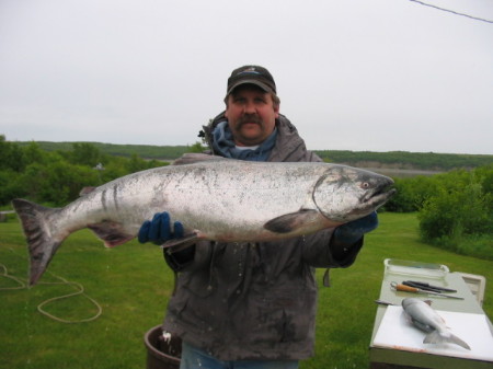 another king salmon