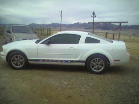 My Mustang