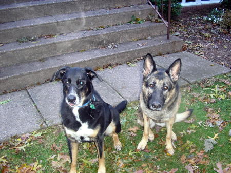 boris and chloe fall 2005