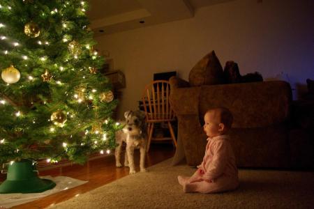 Madison's first Christmas Tree