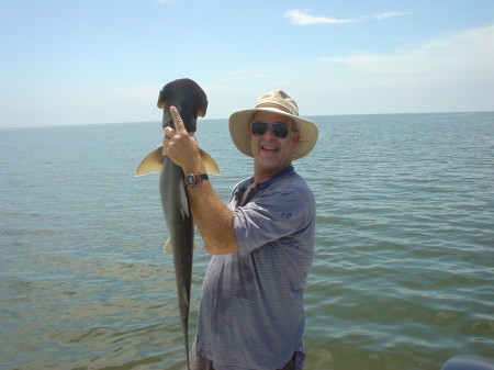 Shark Fishin