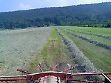 Raking Hay