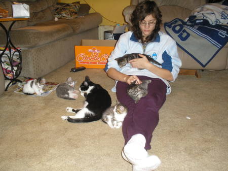 all 5 kittens  April 2008