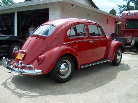 beetle 002