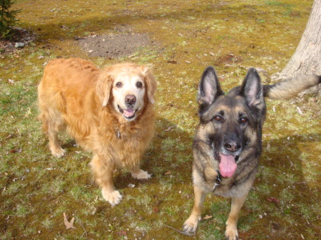 4-2011 Brandy & Eva, Andrew's dog