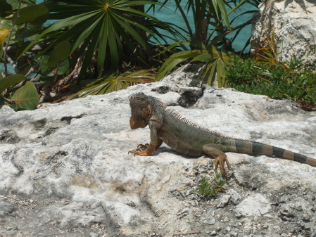 Cosumel, Mexico