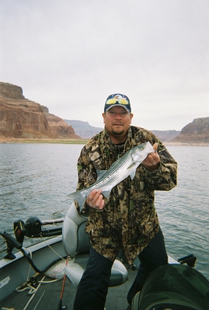 Fishing in Lake Powell