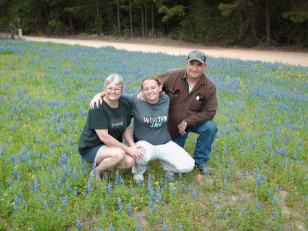 Bluebonnets