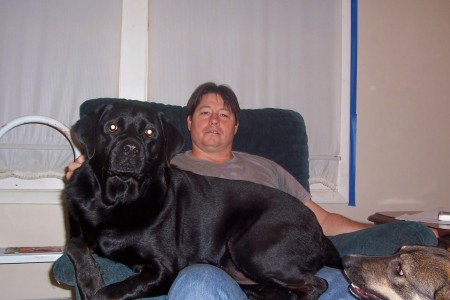 My 110 lb lap dog - Bear & my shepherd Champ with my husband